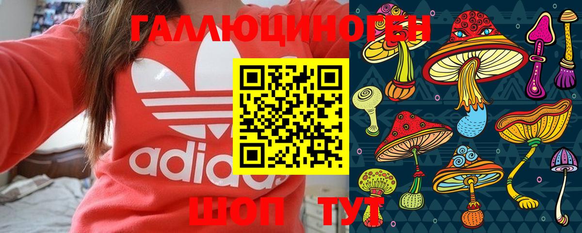 Камень-на-Оби  купить закладку  Вход с VPN  Псилоцибиновые грибы Magic Shrooms 